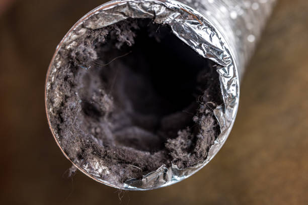 Best Air Duct Cleaning Near Me  in Marysville, MI